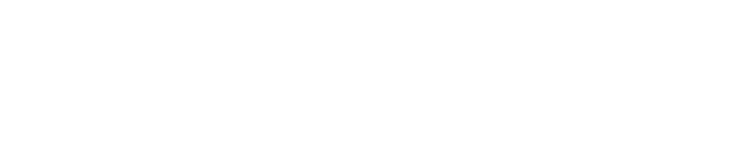 What Does Teisoft Do?