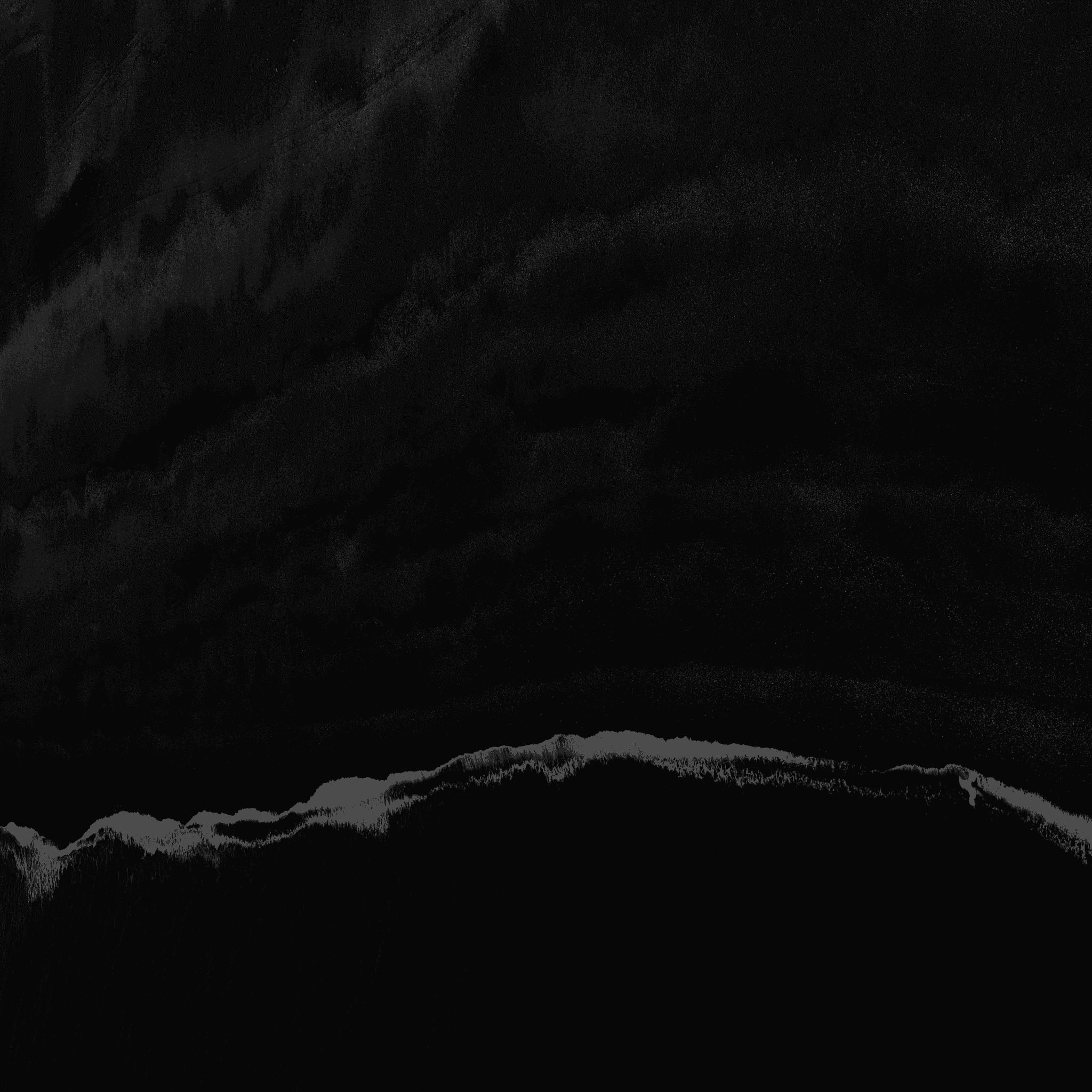 What Does RIIS LLC Do?