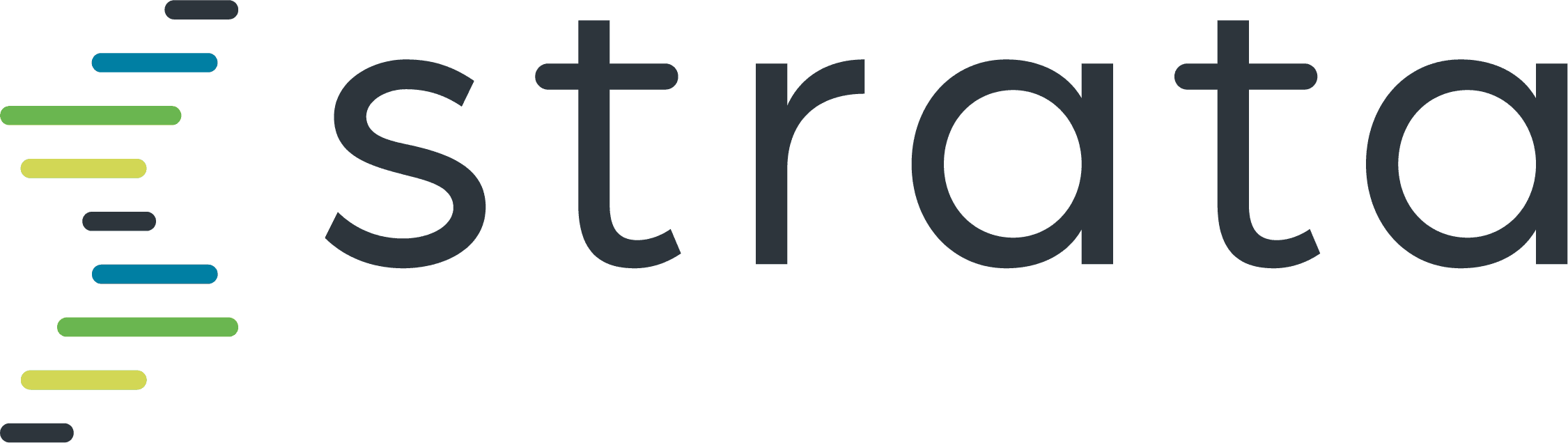 What Does Strata Decision Technology Do?