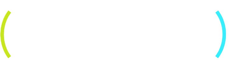 What Does Ocient Do?