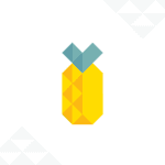 What Does PINA Do? Digital Wealth Management in Indonesia