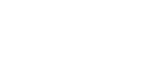 What Does Replika Software Inc. Do?