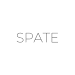 What Does SPATE Do? Market Trend Prediction for Marketers