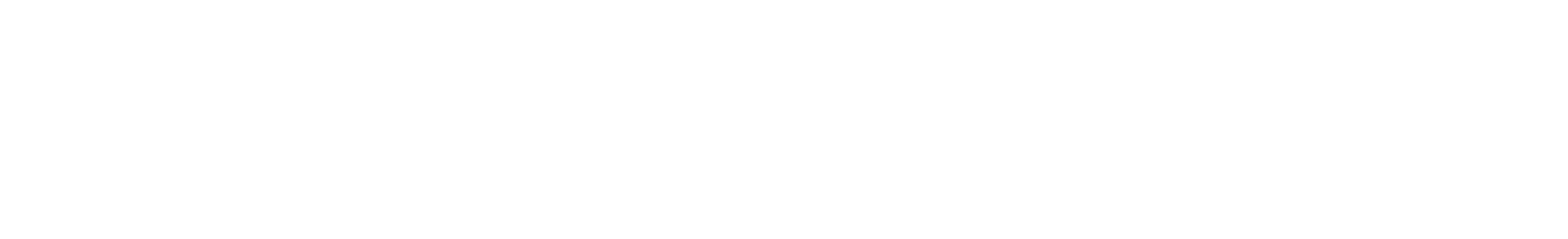 What Does Celestial AI Do? - Company Overview