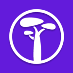 What Does Baubap Do? Latin America's AI Micro-Lending Platform Explained