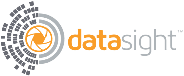 What Does DataSight Do?