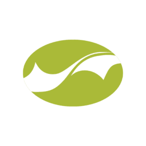 What Does ICM Document Solutions Do?