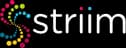 What Does Striim Do?