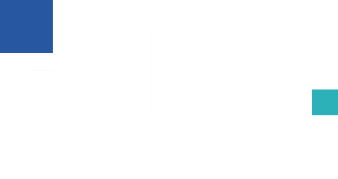 What Does Pix Force Do?