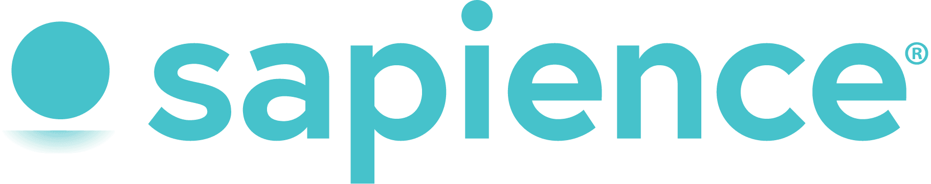 What Does Sapience Do?