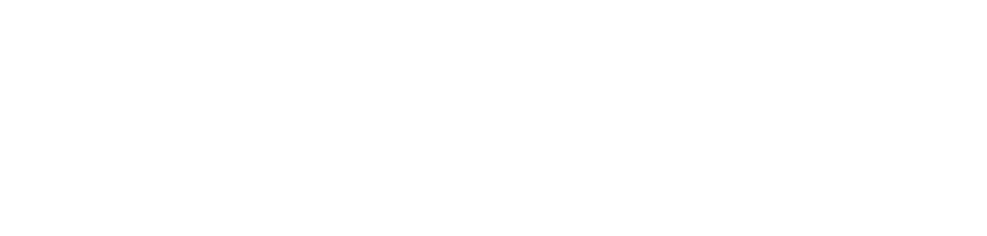 What Does Roopairs Do?