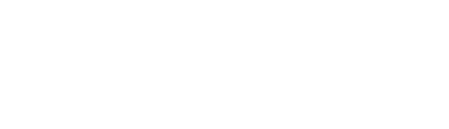What Does The Concinnity Company Do?