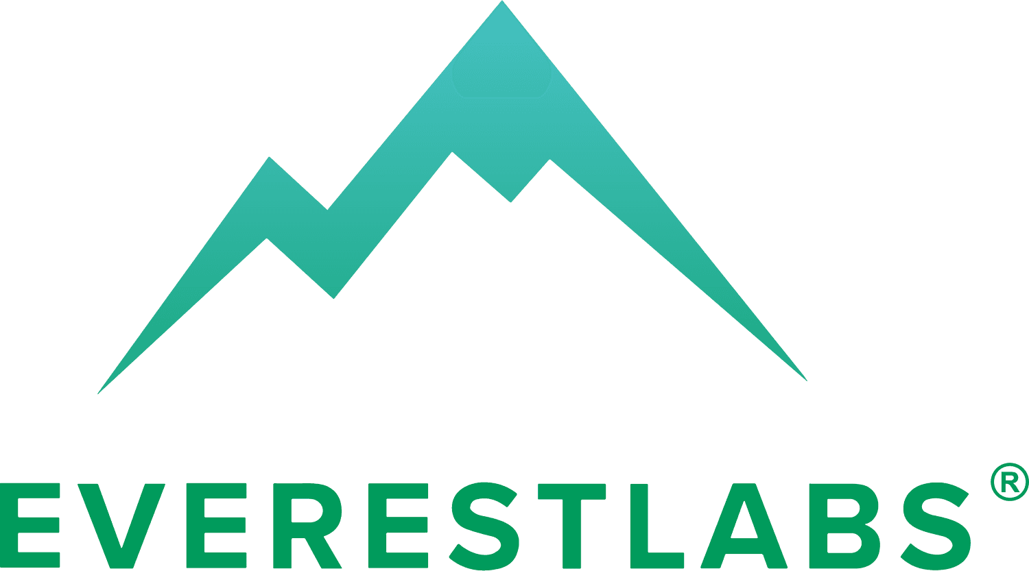 What Does EverestLabs.AI Do?