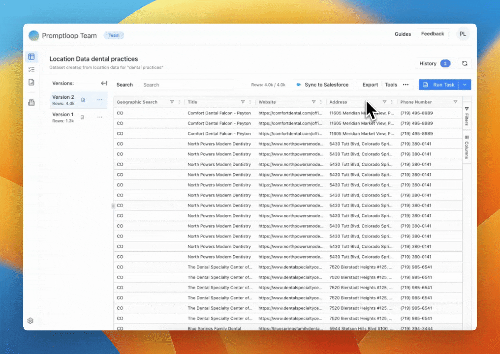 New leads without duplicates